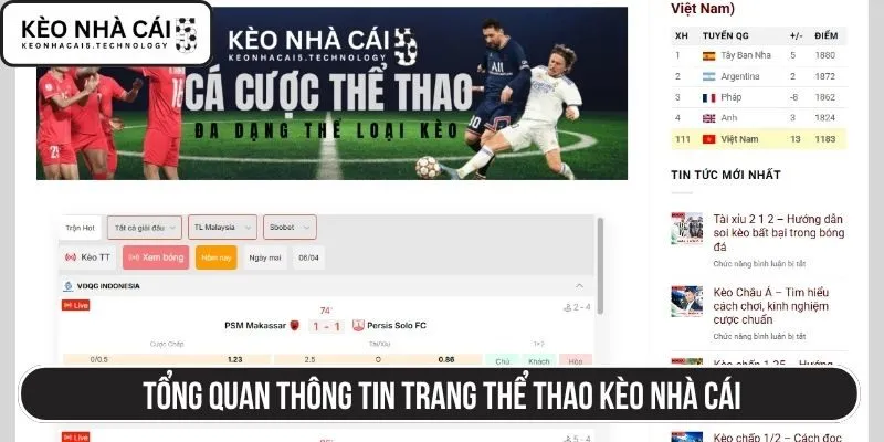 Tổng quan thông tin trang thể thao Kèo nhà cái